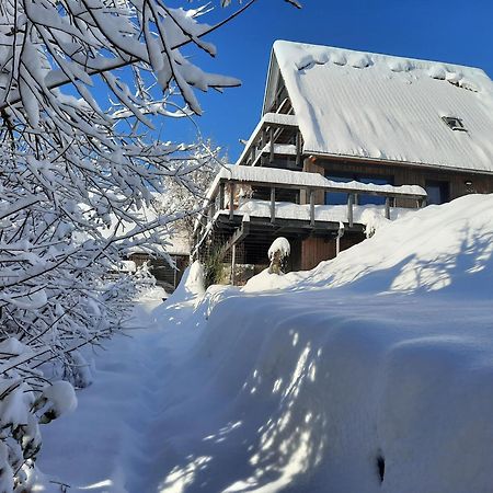 Haus Mit Bergblick Villa Siegsdorf Buitenkant foto